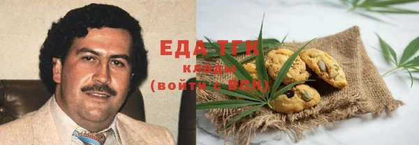 тгк Алексин