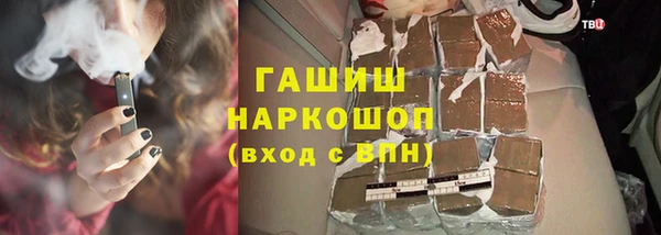 индика Алзамай