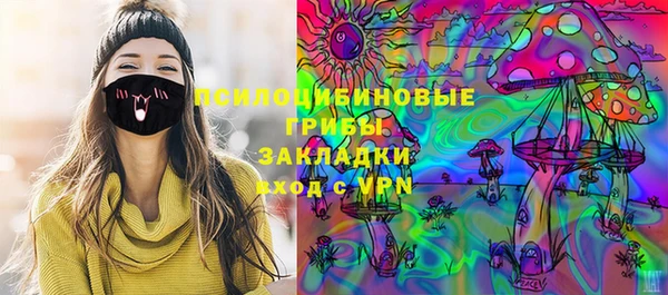 индика Алзамай
