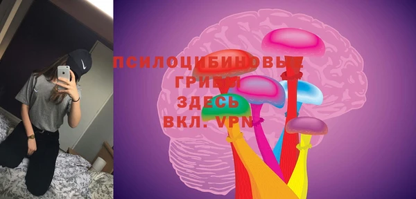 тгк Алексин