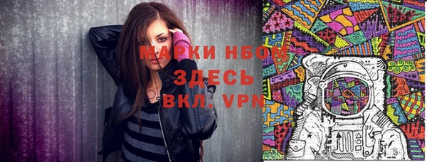 индика Алзамай