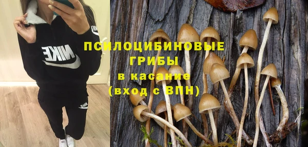 тгк Алексин