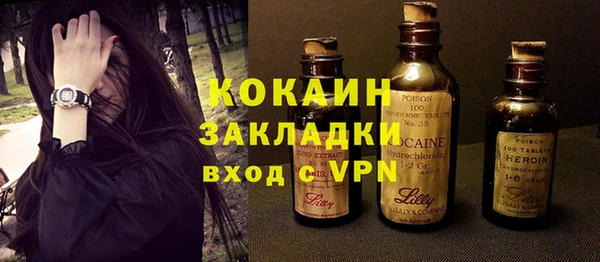 индика Алзамай