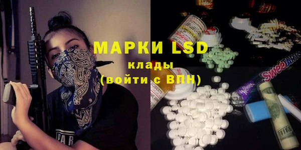 индика Алзамай