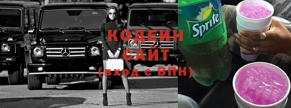 индика Алзамай